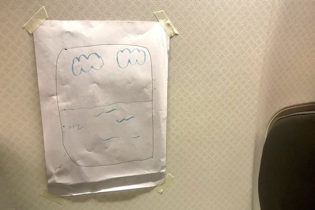 La trovata geniale di una hostess assillata da un passeggero in volo per il Giappone