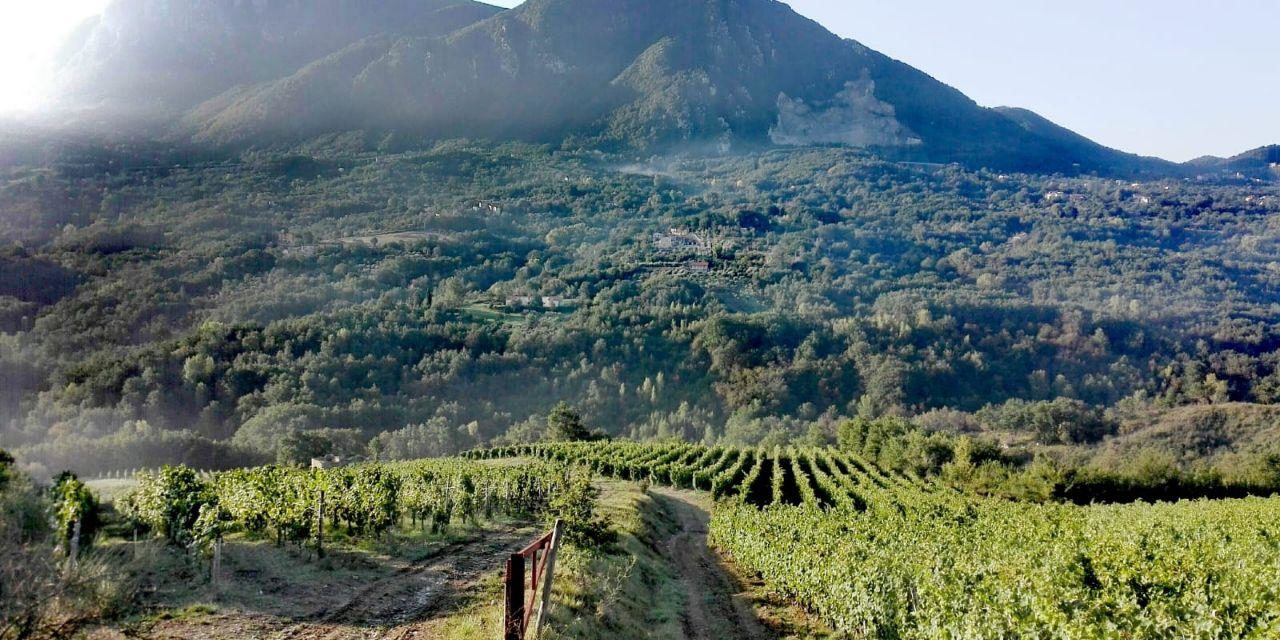 Vendemmia e trekking a Lapio nella patria del Fiano di Avellino