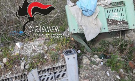 Scoperta discarica abusiva con rifiuti speciali a Pomigliano D’Arco