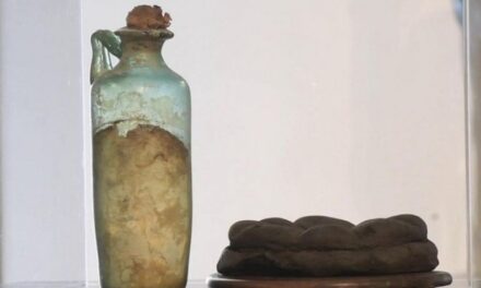 L’olio di oliva più antico al mondo conservato al Museo archeologico nazionale di Napoli: le parole di Alberto Angela
