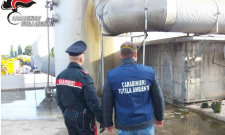Operazione dei carabinieri in provincia di Napoli: controllate 21 aziende tra concerie e pellamifici, 29 persone denunciate