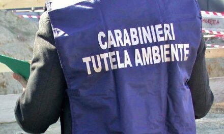 Controlli dei Carabinieri del NOE e dell’Agenzia delle Dogane nel porto di Napoli: sequestrati containers con carichi di rifiuti