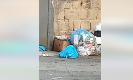 Stazione di Casoria infestata dai topi. Il deputato Borrelli: “Servono interventi subito”