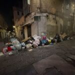 Casoria sempre più abbandonata: tra cumuli di rifiuti, blatte e alberi non potati cresce l’emergenza in città